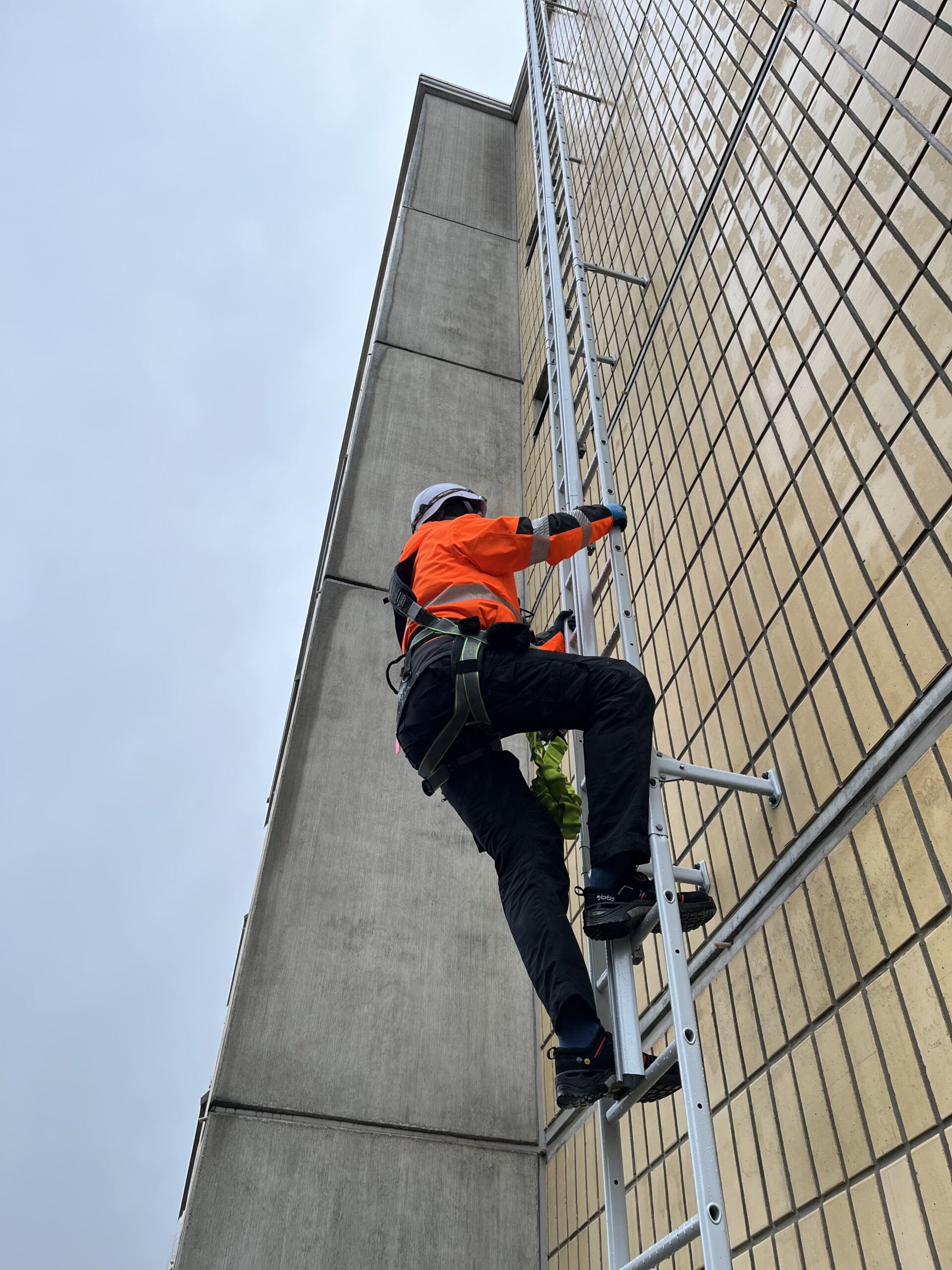 Kattoturvatuotteiden tarkastaja kiipeää tikkaita katolle